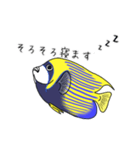 お魚図鑑(タテジマキンチャクダイ)（個別スタンプ：7）