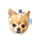 ぱんなくん（個別スタンプ：1）