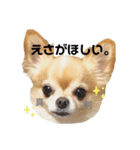 ぱんなくん（個別スタンプ：8）