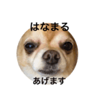ぱんなくん（個別スタンプ：12）
