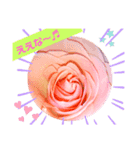 花のキモチ（個別スタンプ：1）