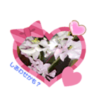 花のキモチ（個別スタンプ：3）