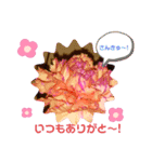 花のキモチ（個別スタンプ：4）