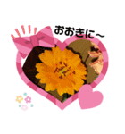 花のキモチ（個別スタンプ：5）