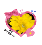 花のキモチ（個別スタンプ：6）