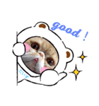 駅にゃんこ（個別スタンプ：3）