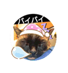 甘栗2（個別スタンプ：18）