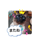 甘栗2（個別スタンプ：19）