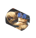 甘栗2（個別スタンプ：24）