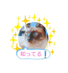甘栗2（個別スタンプ：33）