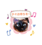 甘栗2（個別スタンプ：34）