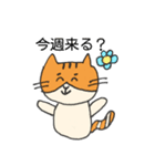 ね・ねこちゃん（個別スタンプ：13）