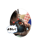 息子'sスタンプです。（個別スタンプ：14）