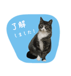 愛衣ちゃん記念スタンプ（個別スタンプ：2）