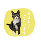 愛衣ちゃん記念スタンプ（個別スタンプ：3）
