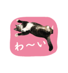 愛衣ちゃん記念スタンプ（個別スタンプ：7）