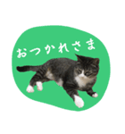 愛衣ちゃん記念スタンプ（個別スタンプ：8）