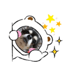 プロペラスタンプ（個別スタンプ：3）