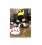 プロペラスタンプ（個別スタンプ：6）