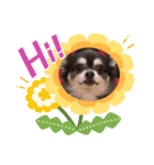 プロペラスタンプ（個別スタンプ：7）
