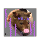クロハムスタジオ（個別スタンプ：4）
