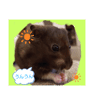 クロハムスタジオ（個別スタンプ：5）