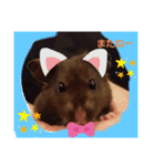 クロハムスタジオ（個別スタンプ：6）