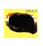クロハムスタジオ（個別スタンプ：7）