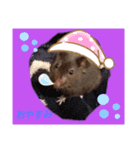 クロハムスタジオ（個別スタンプ：8）
