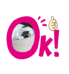 Mikan and Puchi's LINE stamps（個別スタンプ：6）