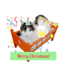 Mikan and Puchi's LINE stamps（個別スタンプ：10）