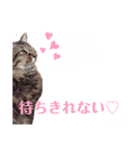 ちょもらしももちゃん（個別スタンプ：1）
