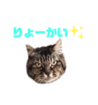 ちょもらしももちゃん（個別スタンプ：3）