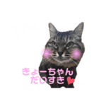 ちょもらしももちゃん（個別スタンプ：8）
