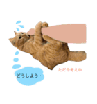 てんぱち＆さすけ（個別スタンプ：12）