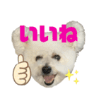 もこすたんぷ〜日常〜（個別スタンプ：1）