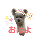 もこすたんぷ〜日常〜（個別スタンプ：3）