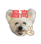 もこすたんぷ〜日常〜（個別スタンプ：4）