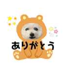 もこすたんぷ〜日常〜（個別スタンプ：5）