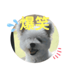 もこすたんぷ〜日常〜（個別スタンプ：16）