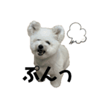 もこすたんぷ〜日常〜（個別スタンプ：17）