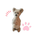 もこすたんぷ〜日常〜（個別スタンプ：19）