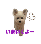 もこすたんぷ〜日常〜（個別スタンプ：23）