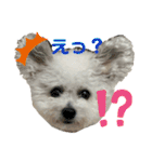 もこすたんぷ〜日常〜（個別スタンプ：28）