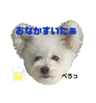 もこすたんぷ〜日常〜（個別スタンプ：29）