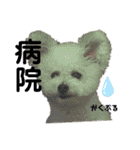 もこすたんぷ〜日常〜（個別スタンプ：30）