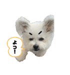 もこすたんぷ〜日常〜（個別スタンプ：31）