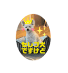 もこすたんぷ〜日常〜（個別スタンプ：33）