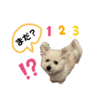 もこすたんぷ〜日常〜（個別スタンプ：35）