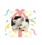 もこすたんぷ〜日常〜（個別スタンプ：40）